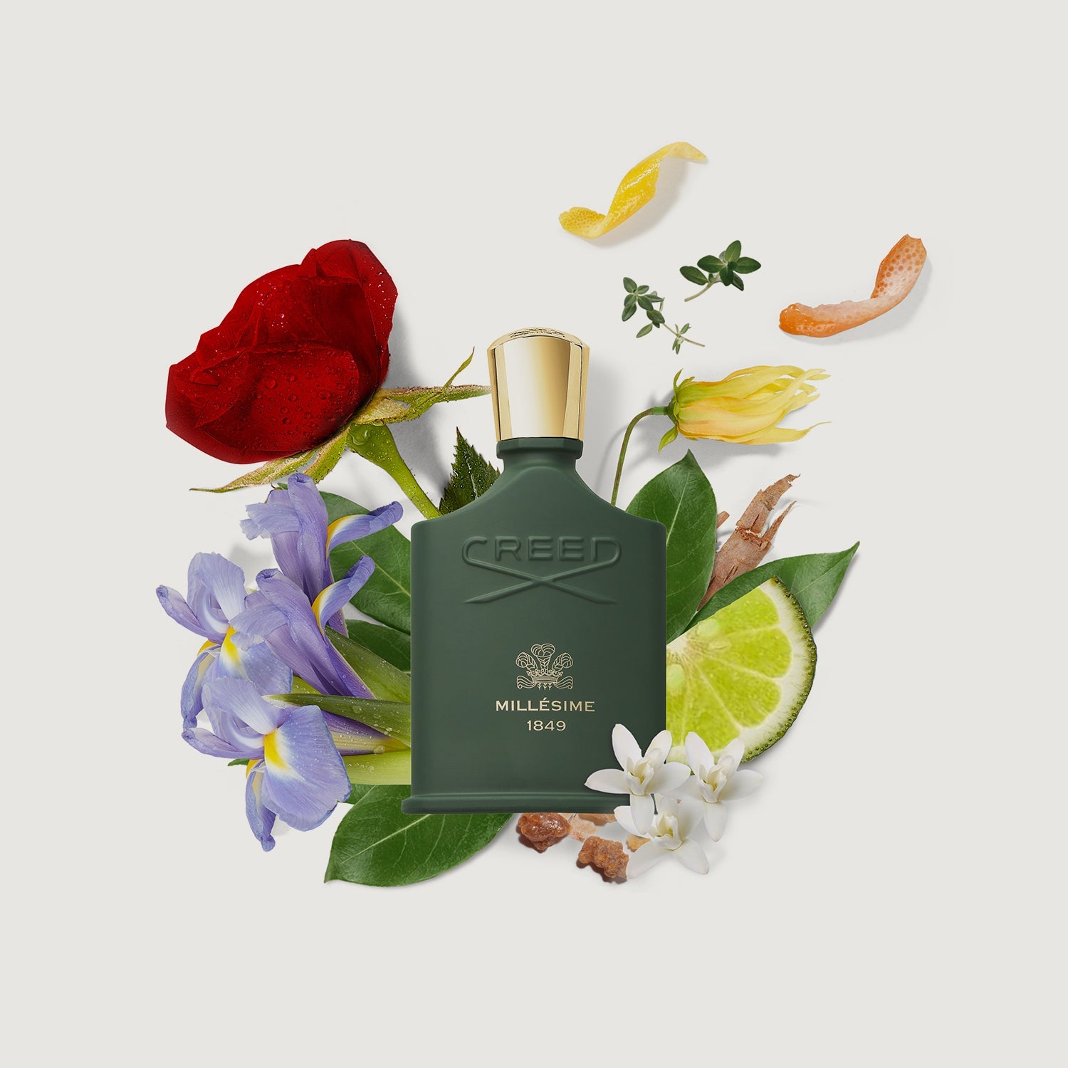 millesime 1849 on grey with fragrance notes